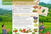 蔬菜补贴申请指南，助农增收的实用方案