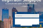 新加坡注册公司全攻略，如何高效查询注册信息