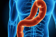 消化道人工智能，未来医疗诊断的智慧助手，AI赋能消化道健康，打造未来医疗诊断的智能助手，AI赋能，消化道健康诊断的未来智慧助手