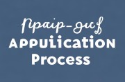 接下来是文章内容，用户要求不少于827个字。我得先规划一下文章的结构。通常，这类指南文章可以分为几个部分，引言、主要政策、申请流程、注意事项、案例分析和总结