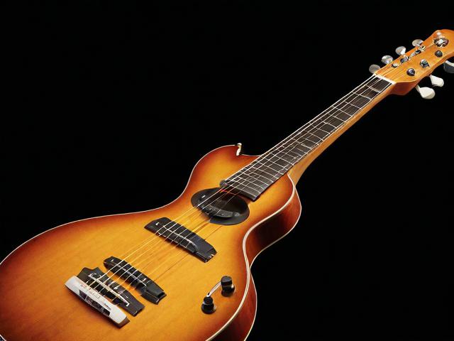 乐器音频网站排名，揭秘音乐爱好者的在线宝藏库