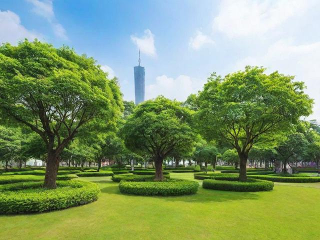 广州绿化网站排名，绿色生活指南的线上排行榜