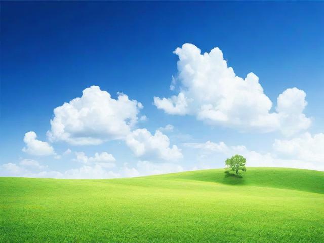 2023年度语言类论文网站排名解析，学术资源整合与优化路径探索