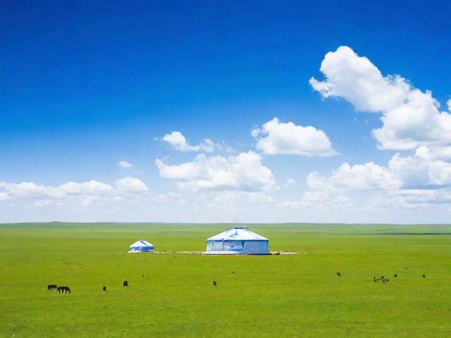 内蒙古设计企业网站排名，揭秘草原上的设计力量