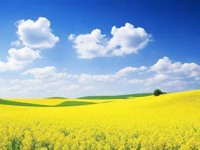 2023年度发表作文网站排名解析，助力作文爱好者的创作之旅