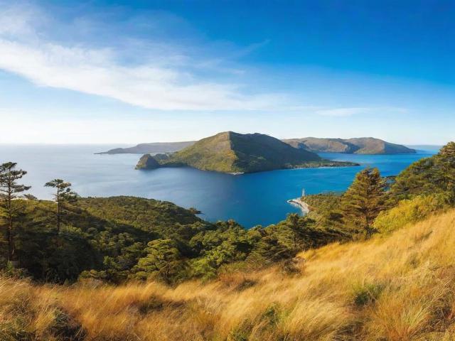 海外自媒体平台网站排名，揭秘全球最受欢迎的自媒体平台