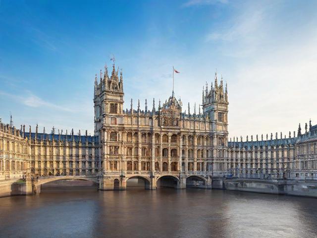 法语学术翻译网站排名，助力学术交流与知识传播的桥梁