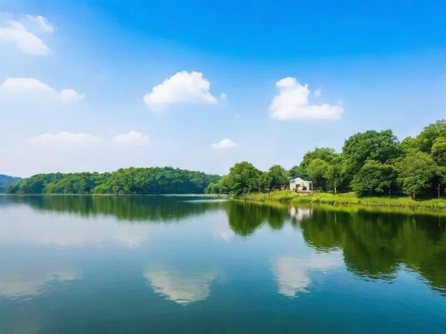 湖州网站建设排名前十，揭秘本地优质服务商，助力企业网络腾飞