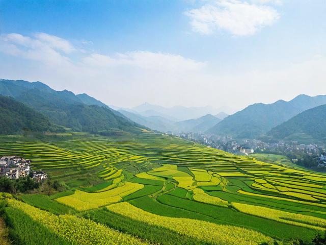 开县网站关键词排名优化策略，提升网站流量，抢占市场先机