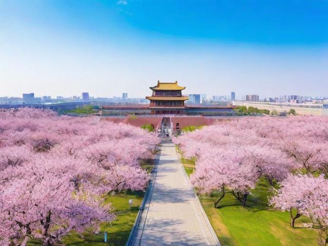 杏花岭区网站排名优化，提升网站流量，助力企业腾飞