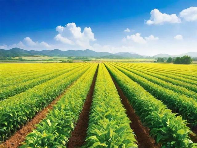 中国最大的兽药网站排名，揭秘行业领先平台，助力养殖产业升级