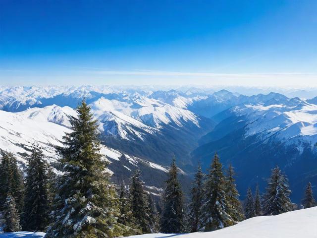 网络服务，白山网站维护的全攻略与报价分析