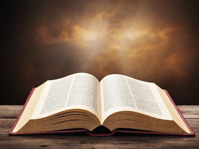 盘点排名前50的书籍网站，畅游书海，尽享阅读盛宴