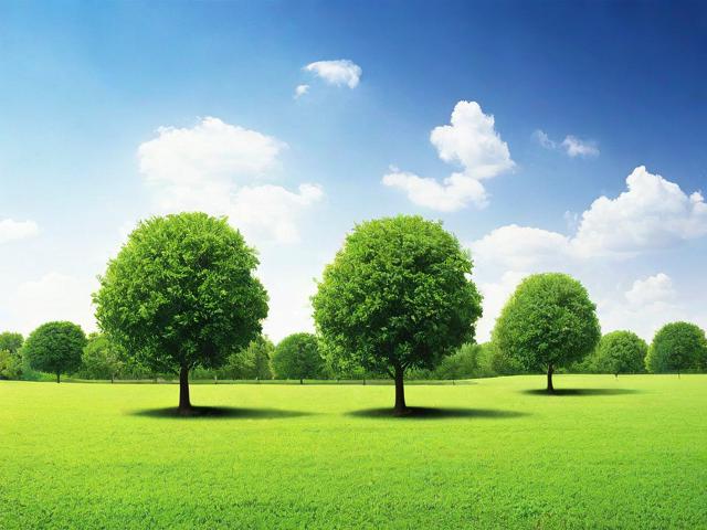 欧洲植树网站排名，绿色行动的在线指南