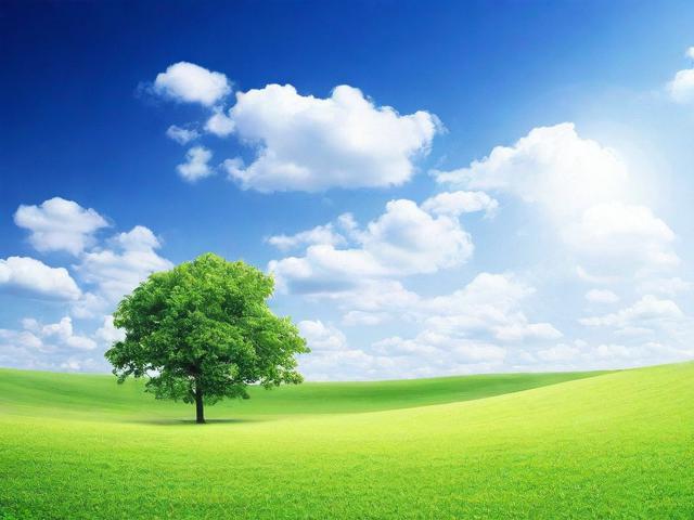 如何提升百度网站排名，全方位攻略解析