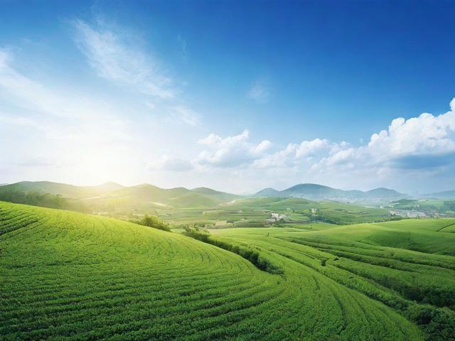 晋中互联网网站排名优化，提升网站流量，助力企业腾飞