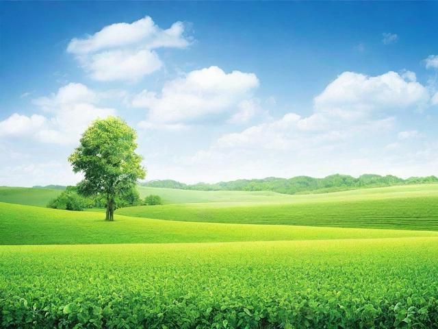 全国生态产业网站排名，盘点2023年度绿色先锋