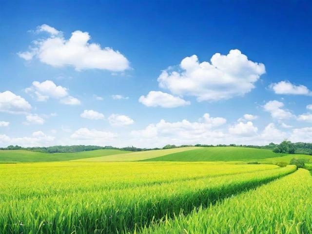 2023年度农业类资讯网站排名，权威解读与行业洞察