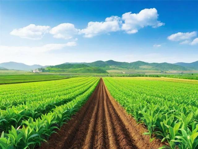 化肥农业种植网站排名，揭秘农业信息平台的崛起与影响力