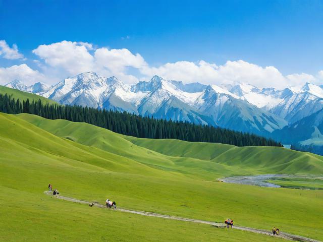 新疆网站代维护的现状与未来