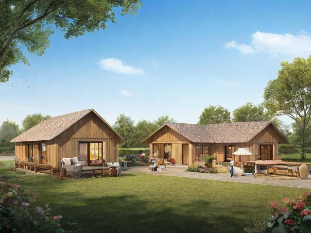 河南农家乐设计网站排名，打造乡村休闲旅游新亮点