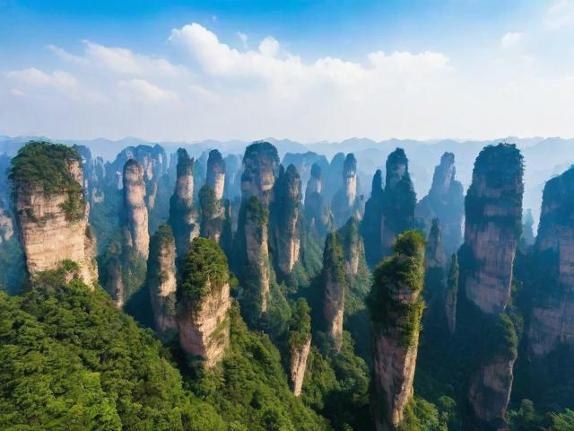 张家界数据采集网站排名，揭秘行业佼佼者，助力企业精准营销