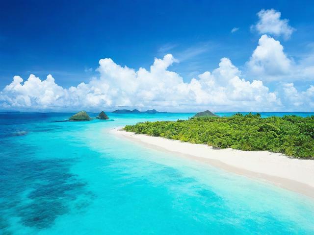 海南省网站优化软件排名，助力企业提升网络竞争力