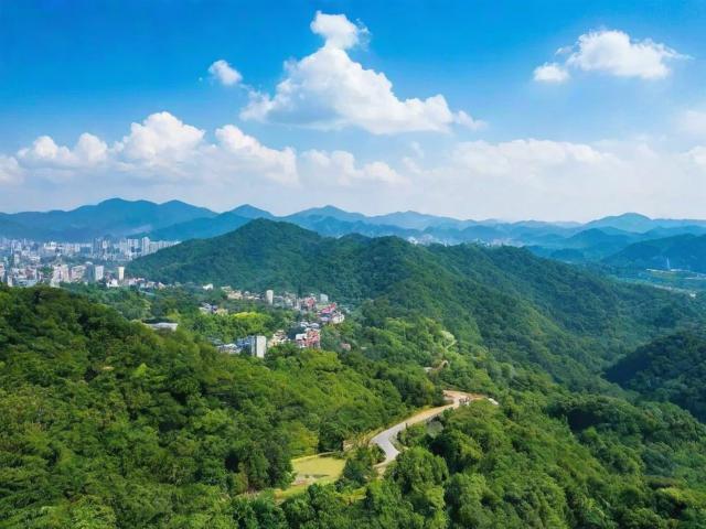 2023年中国公共分享网站排名解析，洞察行业动态，助力内容创作者精准布局