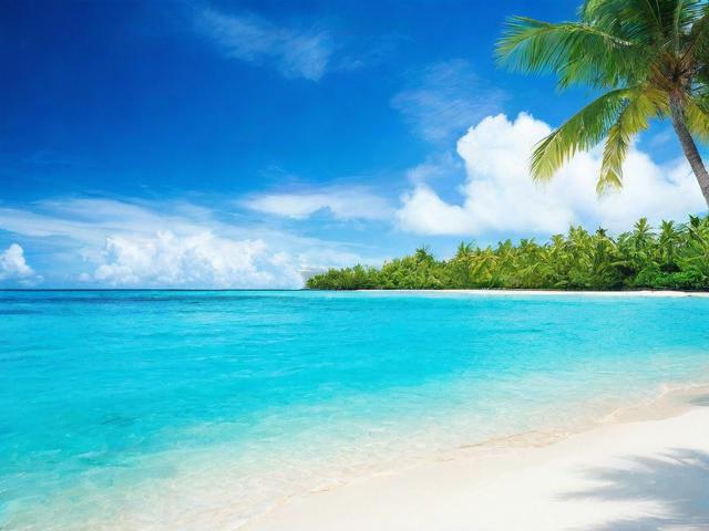 海南网站优化厂家排名，揭秘优质服务背后的秘密