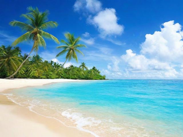 海南网站关键词排名优化与推广策略全解析