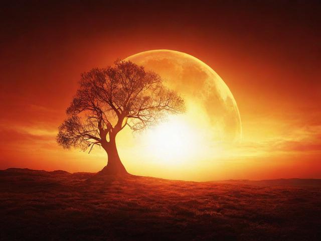 中国最大免费网站排名，揭秘国内免费资源聚集地