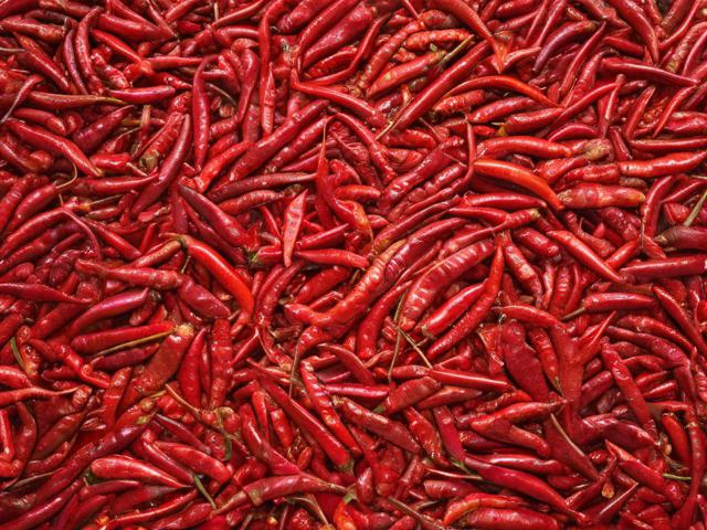 保持辣椒视频网站的正常运行，维护与管理的关键