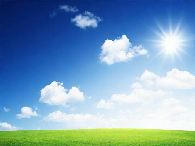 共建小说网站排名，共创网络文学新天地