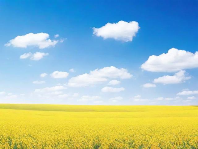 揭秘最火文案排行榜，网站如何成为文案创意的风向标