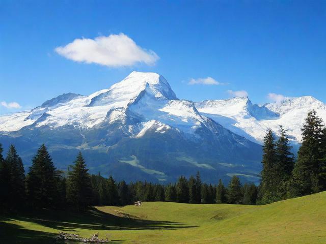 找到优秀的白山网站维护公司，你需要的技巧和建议