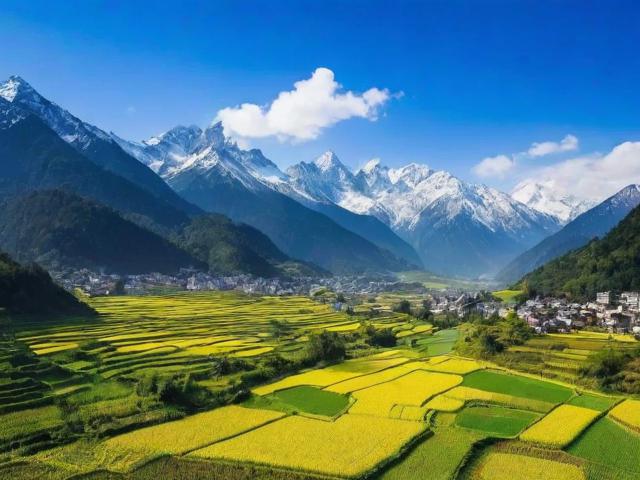 四川厂家招商网站排名，揭秘优质招商平台，助力企业拓展市场