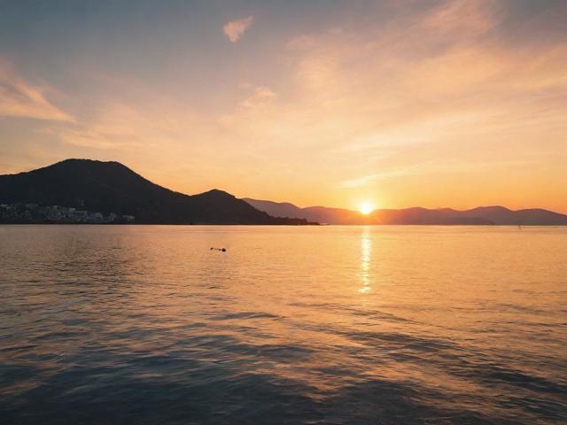 免费关键词优化排名网站，助您轻松提升网站流量与知名度！