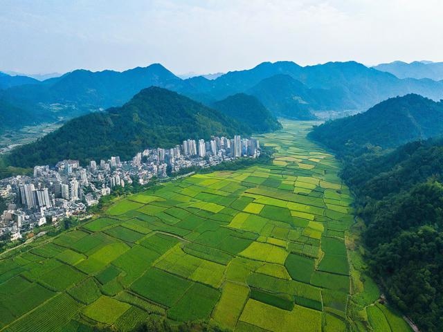 陇南网站维护电话指南