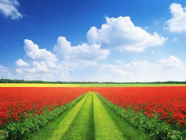 许昌网站排名优化费用，如何实现网站流量与效益的双重提升