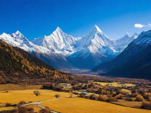 四川网站推广服务商排名，揭秘2023年最佳合作伙伴