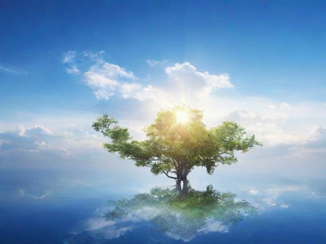 免费编程资源网站大揭秘，助你提升技能，轻松进入网站排名前列！