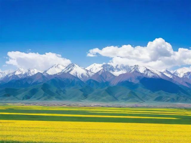 青海省网站优化企业排名，揭秘优质服务背后的实力与口碑