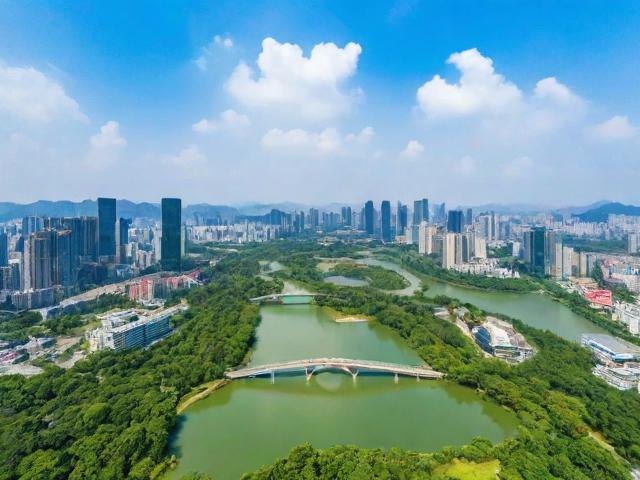 肇庆网站开发排名前十，揭秘优质服务背后的秘密