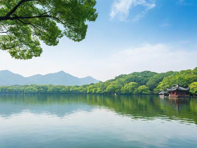 西湖区网站优化排名，揭秘提升网站流量与曝光度的秘诀