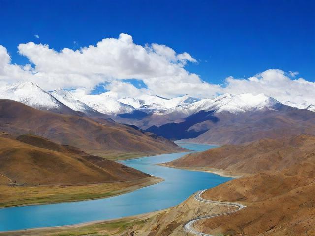 西藏网站关键词排名优化，提升网站流量，助力企业腾飞