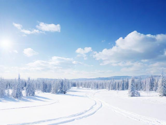 黑龙江商城网站排名，揭秘电商市场新格局