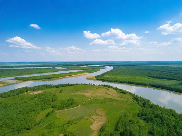 吉林省网站优化排名工具，助力企业提升网络竞争力