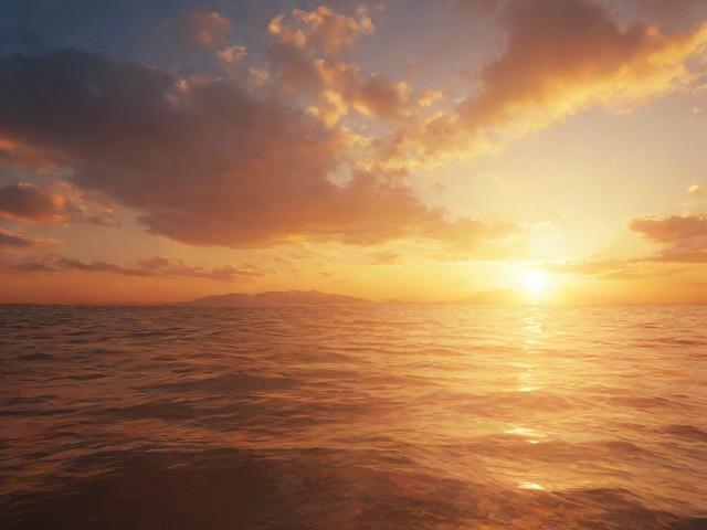 自建网站发布平台排名，如何打造高流量、高排名的网站