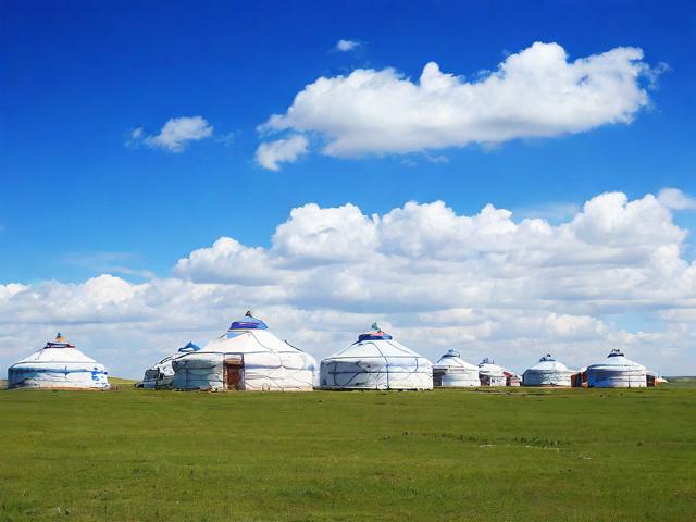 蒙古搜索引擎网站排名，揭秘蒙古地区最受欢迎的在线搜索平台