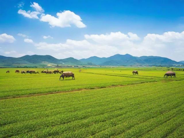 2023年农牧企业招聘网站排名，助力农牧行业人才选拔新风向